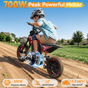 36V Electric Dirt Bike for Kids Ages 4-10, 700W Peak 15.5MPH, 3-Speed Modes