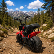Dirt Bike Mini Bike 99cc 3.5HP Gas Powered Off Road Build-in Headlight Trail Motorcycle for Adults & Kids Weight Support Up to 185 LBS, Red