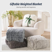 Weighted Blanket for Adult 80"x87" 15lbs Soft Long Plush Queen White