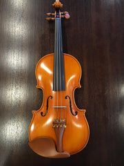 Model 220 Violin with Dominant strings, bow, case, rosin and shoulder rest - Open Clear Tone (4/4 - Size)