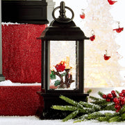 Lighted Snow Globe Lantern: 9.5 Inch, Black Holiday Water Lantern by (Cardinal)